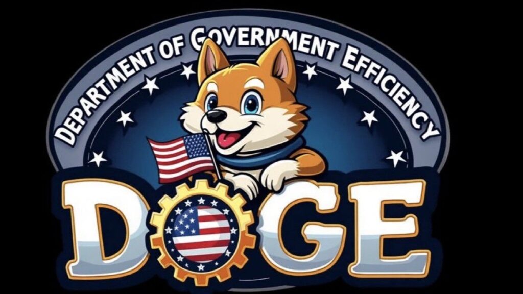 Elon Musk’s DOGE team analysis for 2025 by GLHR Investing