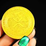 Ripple 2025